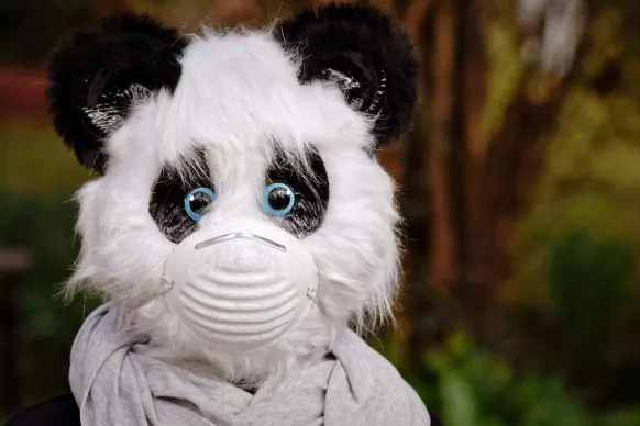 אסטיאוואי קזינו תמיכה